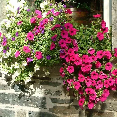 Achat Monschau